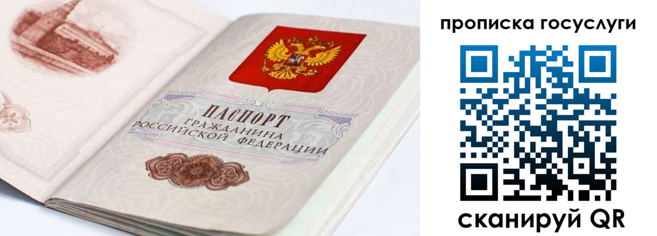 прописка гарантия в Камчатской области
